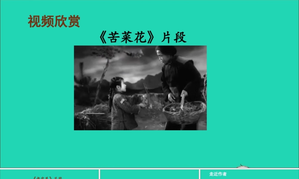 六年级语文上册 第六单元 黑和土地》课件