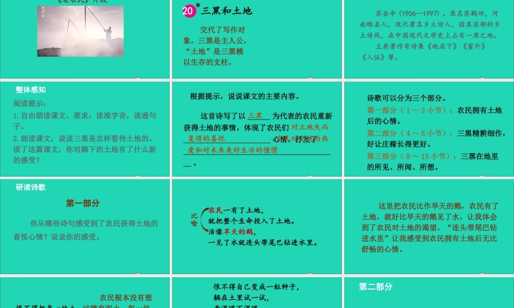 六年级语文上册 第六单元 黑和土地》课件
