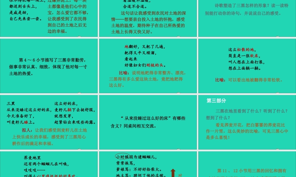 六年级语文上册 第六单元 黑和土地》课件