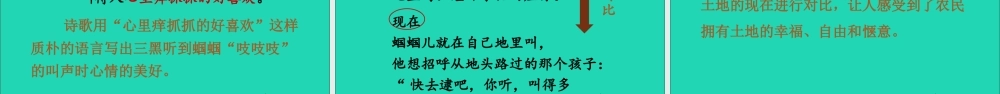 六年级语文上册 第六单元 黑和土地》课件