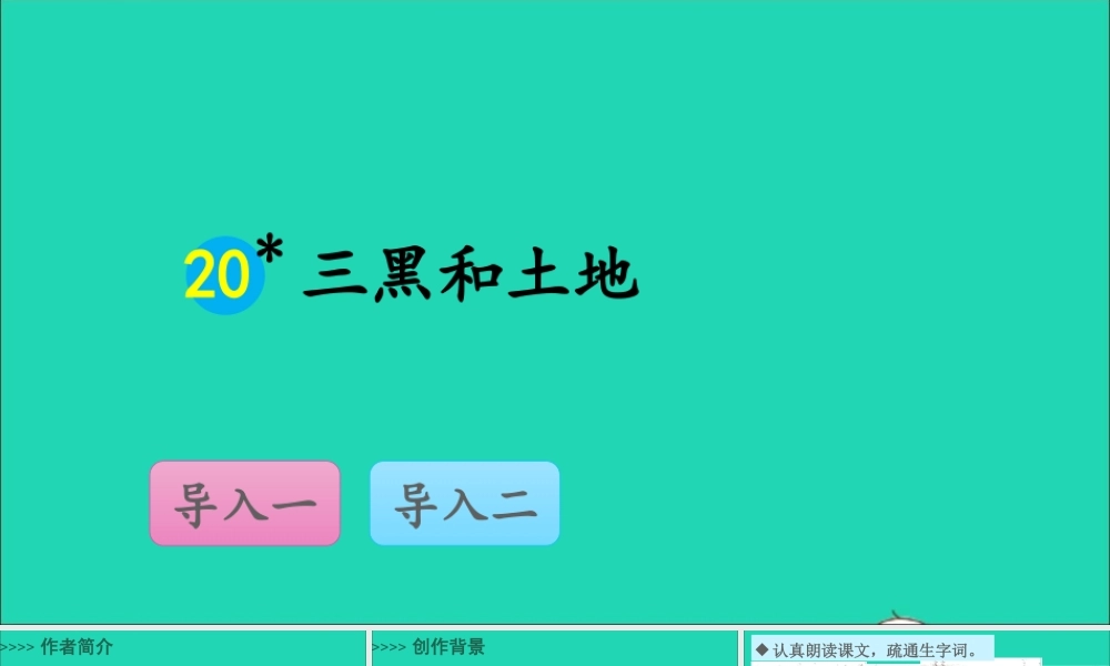 六年级语文上册 第六单元 黑和土地课件