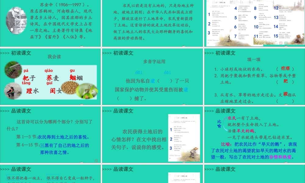 六年级语文上册 第六单元 黑和土地课件