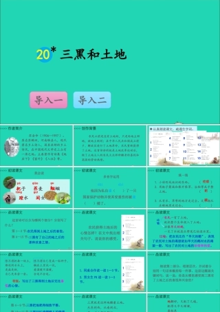 六年级语文上册 第六单元 黑和土地课件