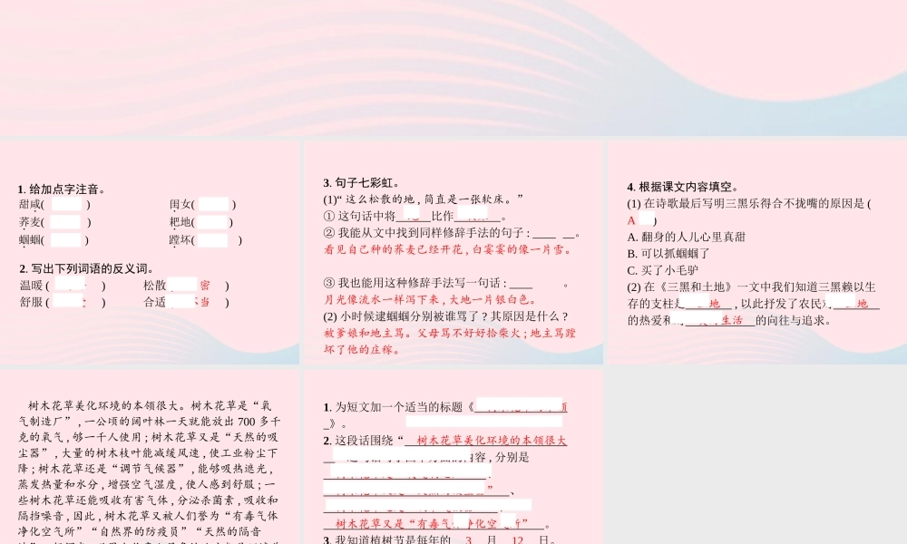 六年级语文上册 第六单元 黑和土地作业课件 新人教版-新人教级上册语文课件