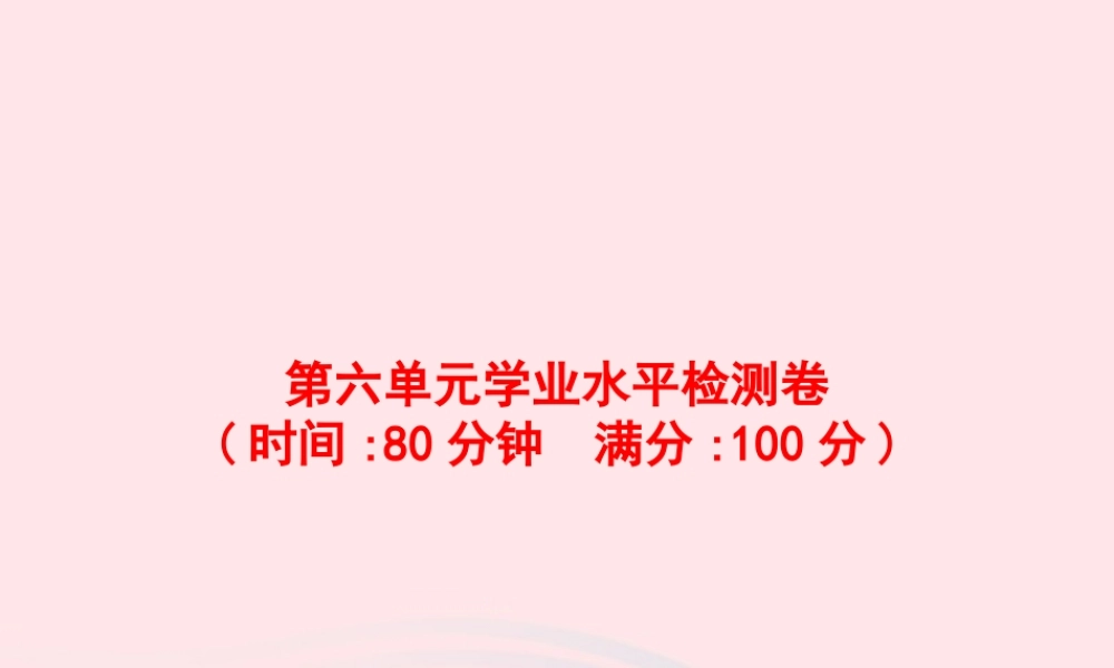 六年级语文上册 第六单元学业水平检测卷课件 新人教版-新人教版小学六年级上册语文课件