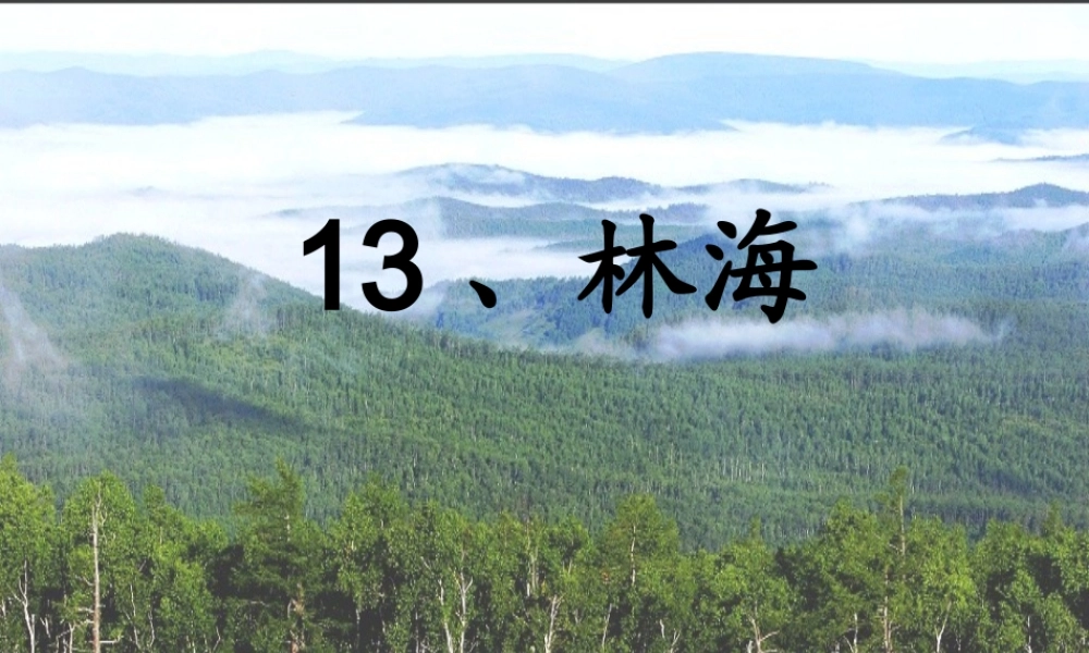 六年级语文上册 第四单元 13《林海》课件推荐 北京版-北京版小学六年级上册语文课件
