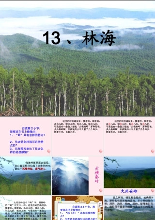 六年级语文上册 第四单元 13《林海》课件推荐 北京版-北京版小学六年级上册语文课件