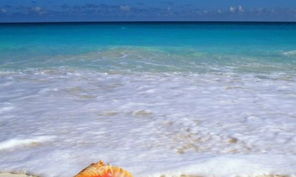 六年级语文上册 第四单元 13《林海》原创课件 北京版-北京版小学六年级上册语文课件