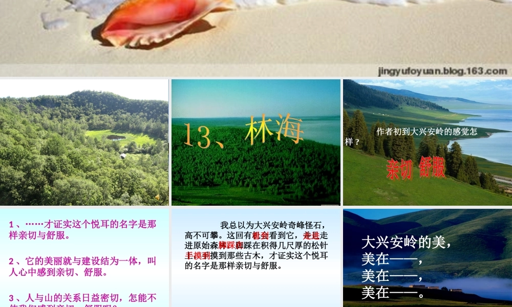 六年级语文上册 第四单元 13《林海》原创课件 北京版-北京版小学六年级上册语文课件