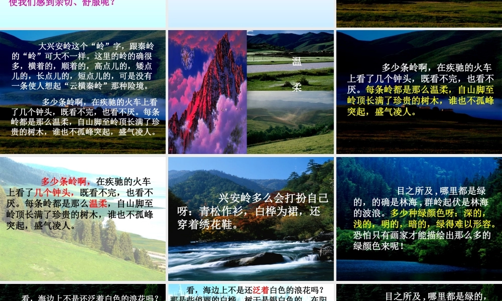 六年级语文上册 第四单元 13《林海》原创课件 北京版-北京版小学六年级上册语文课件