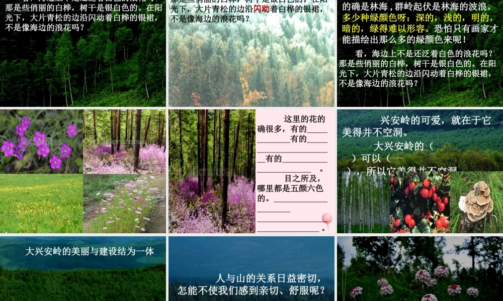 六年级语文上册 第四单元 13《林海》原创课件 北京版-北京版小学六年级上册语文课件