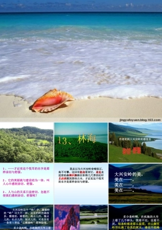 六年级语文上册 第四单元 13《林海》原创课件 北京版-北京版小学六年级上册语文课件