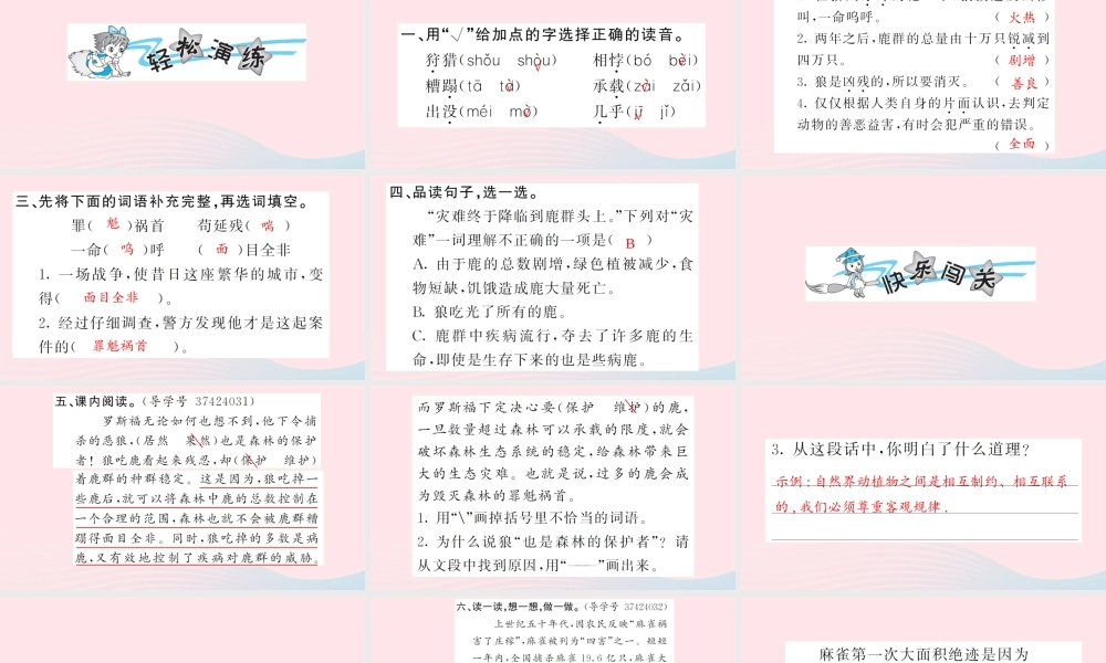 六年级语文上册 第四单元 14 鹿和狼的故事习题课件 新人教版-新人教版小学六年级上册语文课件
