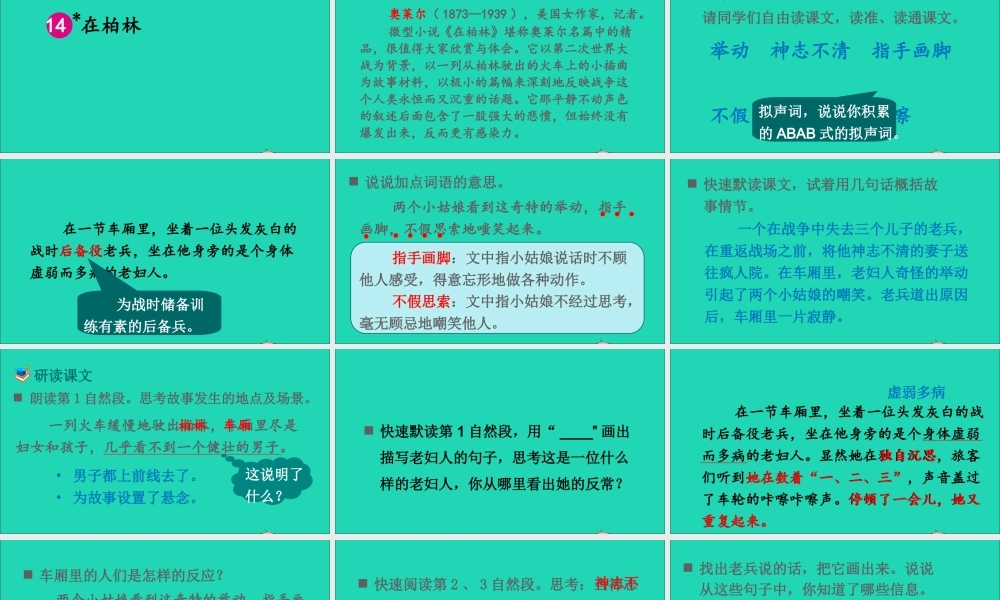 六年级语文上册 第四单元 14 在柏林课件 新人教版-新人教版小学六年级上册语文课件