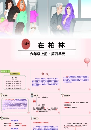 六年级语文上册 第四单元 14 在柏林课件 新人教版-新人教级上册语文课件