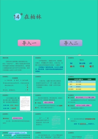六年级语文上册 第四单元 14 在柏林课件1 新人教版-新人教版小学六年级上册语文课件