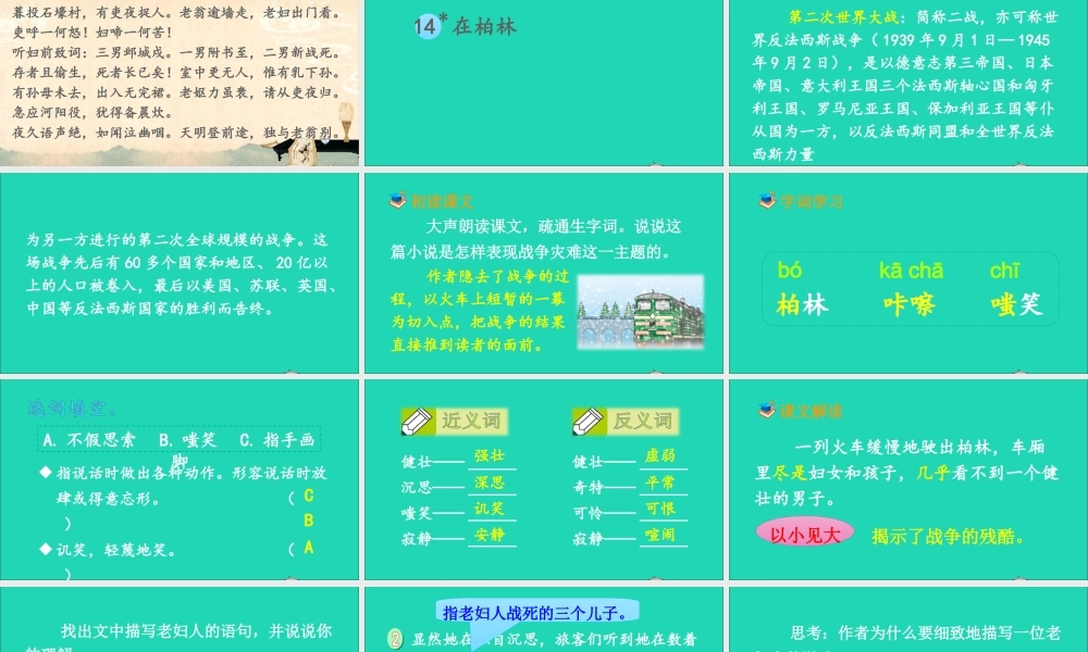 六年级语文上册 第四单元 14 在柏林课件2 新人教版-新人教版小学六年级上册语文课件