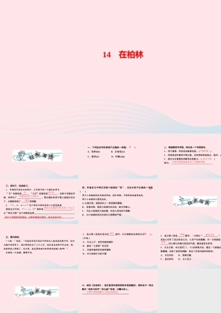 六年级语文上册 第四单元 14 在柏林作业课件 新人教版-新人教版小学六年级上册语文课件