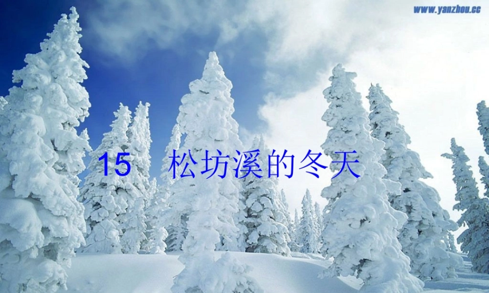 六年级语文上册 第四单元 15《松坊溪的冬天》原创精品课件 北京版-北京版小学六年级上册语文课件