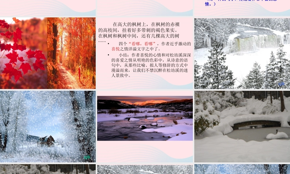 六年级语文上册 第四单元 15《松坊溪的冬天》原创精品课件 北京版-北京版小学六年级上册语文课件
