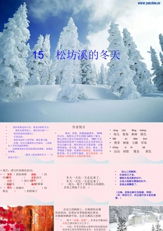 六年级语文上册 第四单元 15《松坊溪的冬天》原创精品课件 北京版-北京版小学六年级上册语文课件
