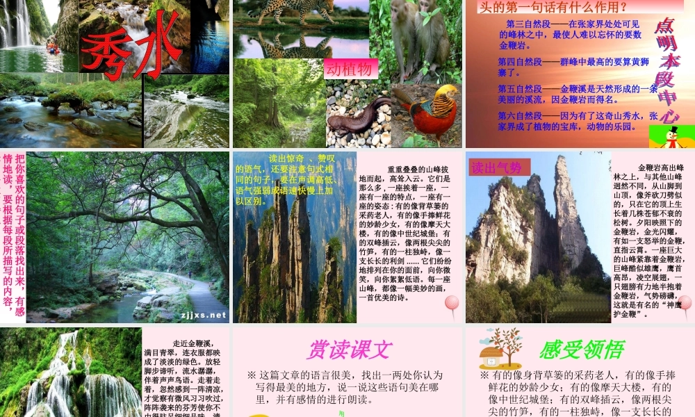 六年级语文上册 第四单元 16《迷人的张家界》精品原创课件 北京版-北京版小学六年级上册语文课件