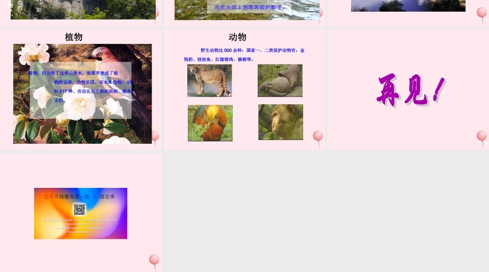 六年级语文上册 第四单元 16《迷人的张家界》课件1 北京版-北京版小学六年级上册语文课件