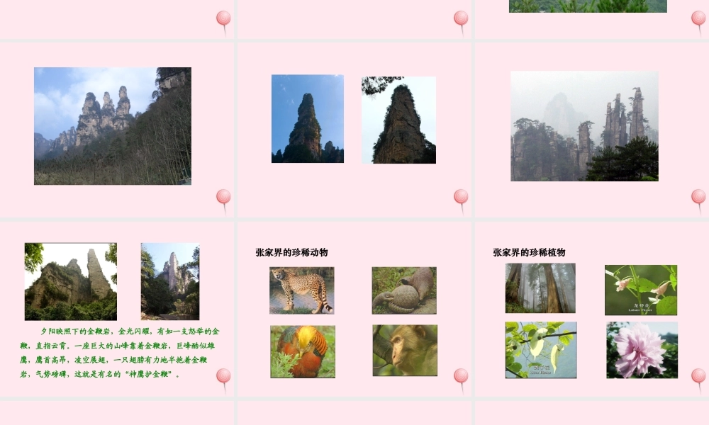 六年级语文上册 第四单元 16《迷人的张家界》课件2 北京版-北京版小学六年级上册语文课件