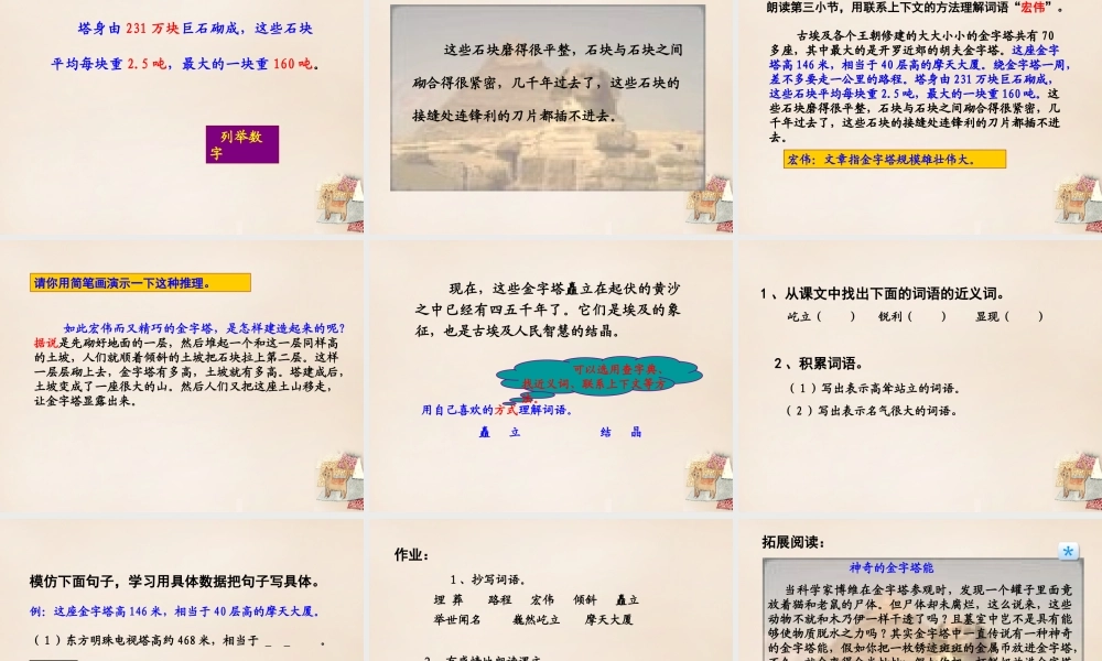 六年级语文上册《埃及金字塔》课件1 长春版-长春版小学六年级上册语文课件