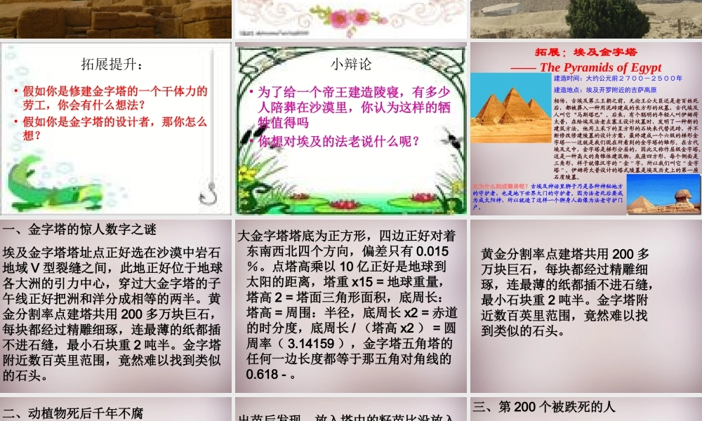 六年级语文上册《埃及金字塔见闻》课件1 语文A版-语文A版小学六年级上册语文课件