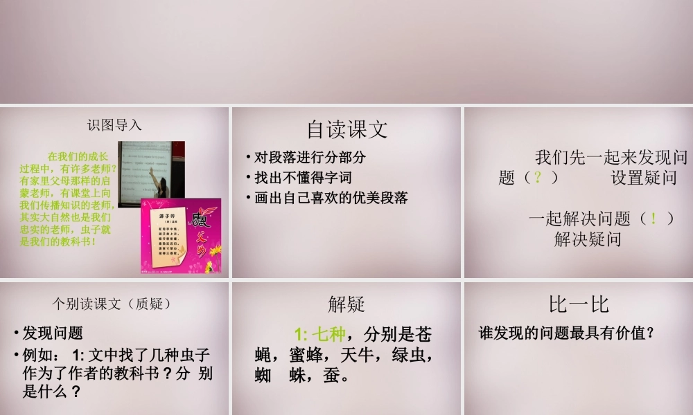 六年级语文上册《大自然的教科书》课件 语文A版-语文A版小学六年级上册语文课件