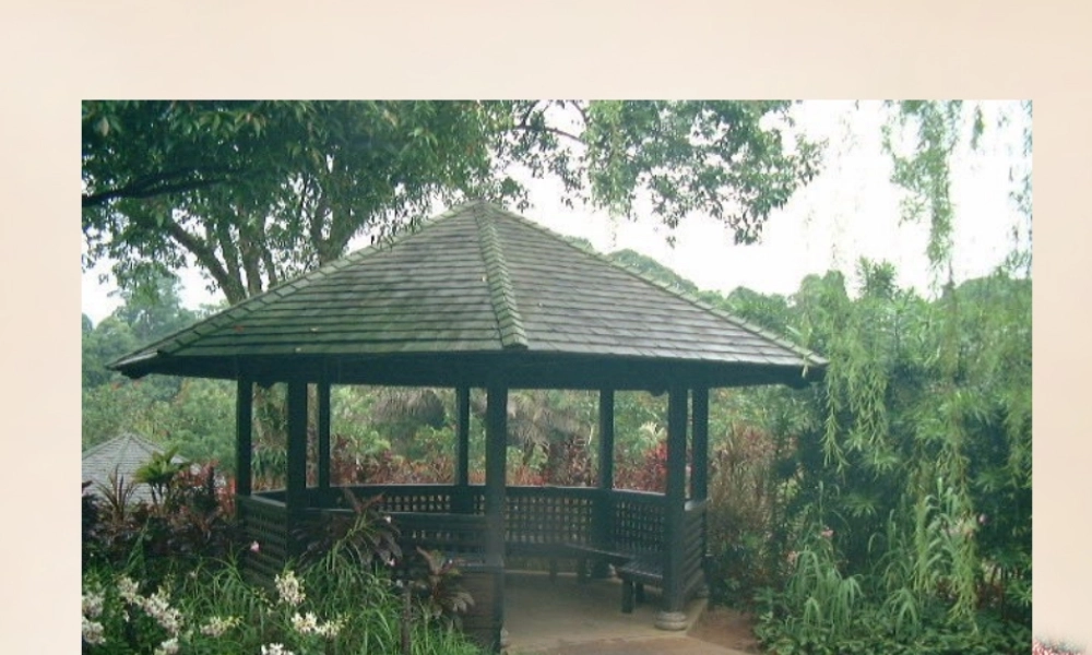 六年级语文上册《豆腐颂》课件4 长春版-长春版小学六年级上册语文课件