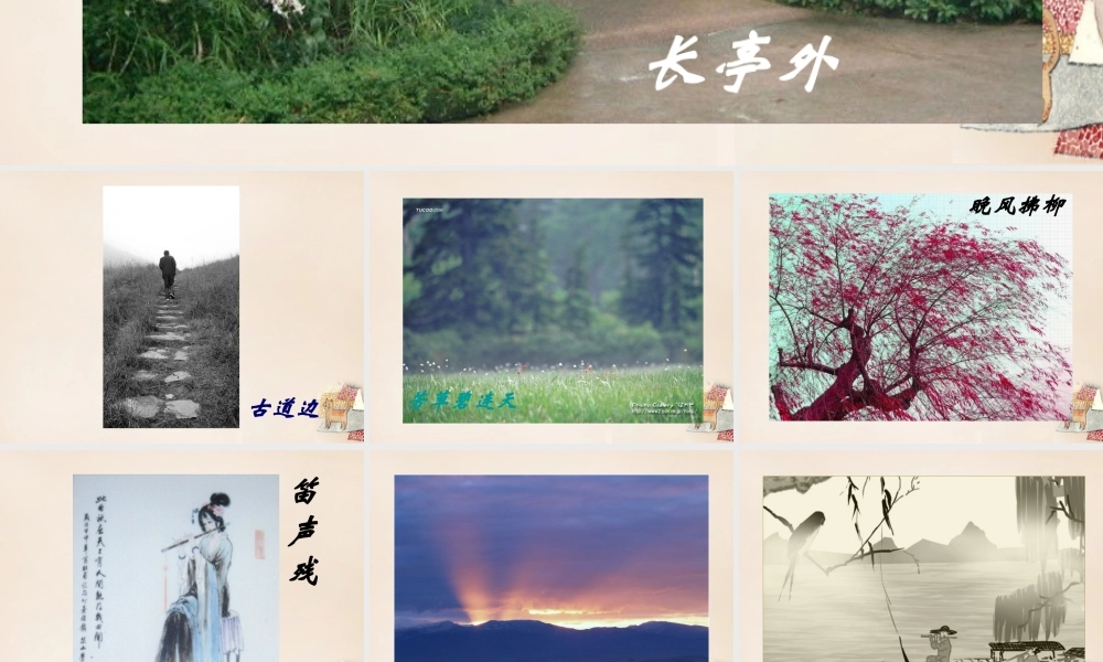 六年级语文上册《豆腐颂》课件4 长春版-长春版小学六年级上册语文课件