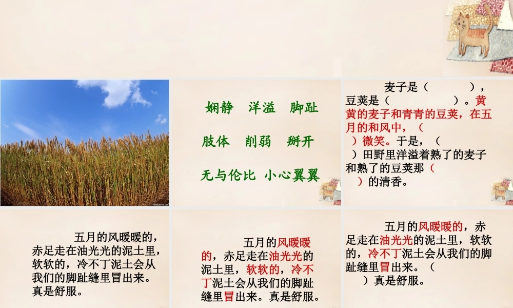 六年级语文上册《高的是麦子，矮的是豆荚》课件1 长春版-长春版小学六年级上册语文课件