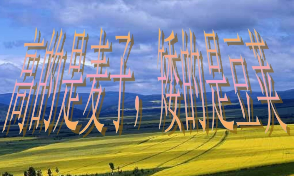 六年级语文上册《高的是麦子，矮的是豆荚》课件2 长春版-长春版小学六年级上册语文课件