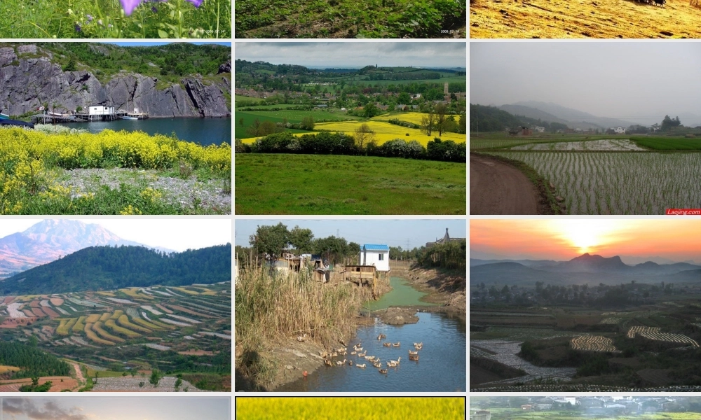 六年级语文上册《高的是麦子，矮的是豆荚》课件3 长春版-长春版小学六年级上册语文课件