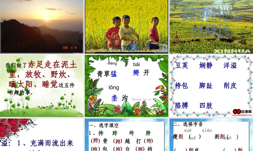 六年级语文上册《高的是麦子，矮的是豆荚》课件3 长春版-长春版小学六年级上册语文课件