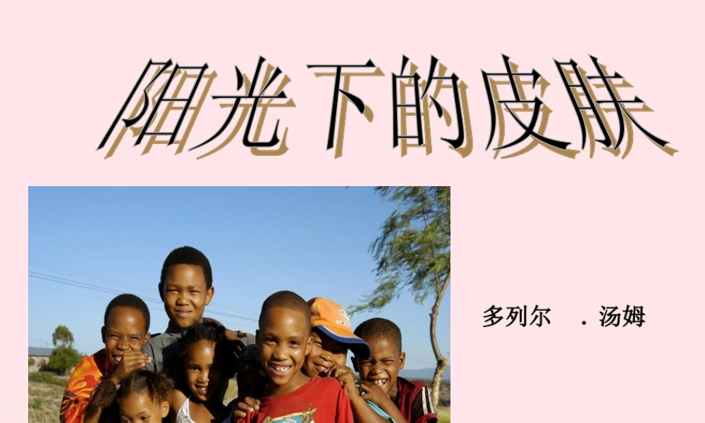 六年级语文上册 第四单元 19《阳光下的皮肤》名优课件 冀教版-冀教版小学六年级上册语文课件