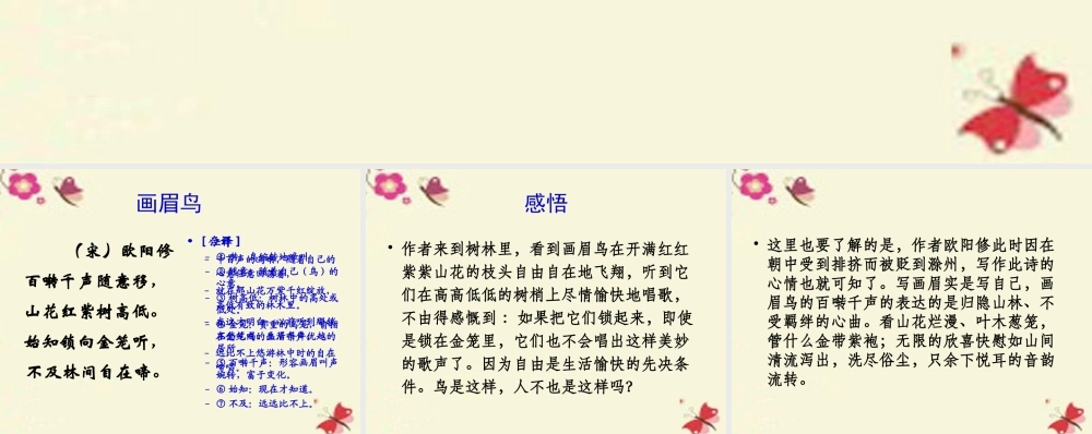 六年级语文上册《画眉鸟》课件1 沪教版五四制-沪教版小学六年级上册语文课件