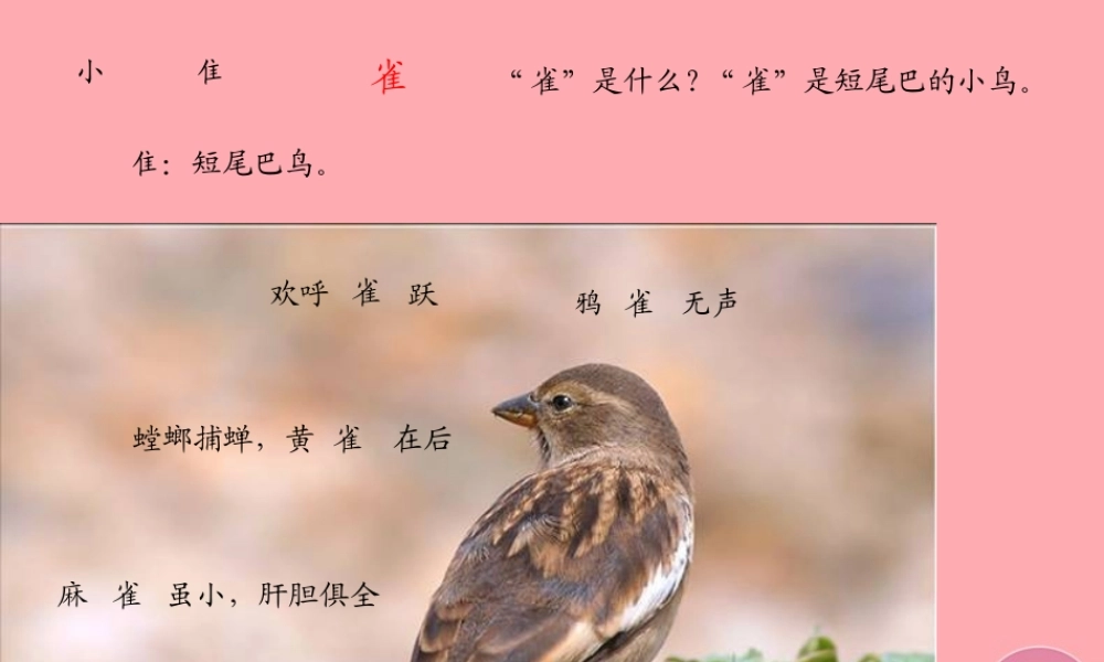 六年级语文上册 第四单元 隔窗看雀课件1 湘教版-湘教版小学六年级上册语文课件