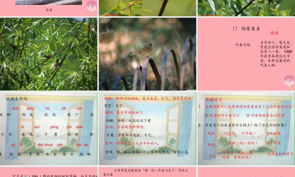 六年级语文上册 第四单元 隔窗看雀课件1 湘教版-湘教版小学六年级上册语文课件