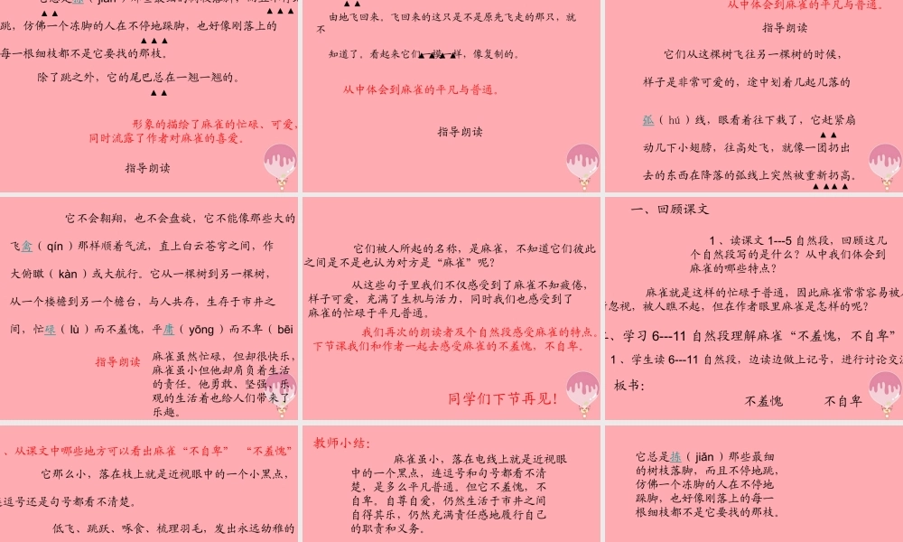 六年级语文上册 第四单元 隔窗看雀课件1 湘教版-湘教版小学六年级上册语文课件