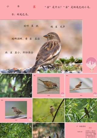 六年级语文上册 第四单元 隔窗看雀课件1 湘教版-湘教版小学六年级上册语文课件