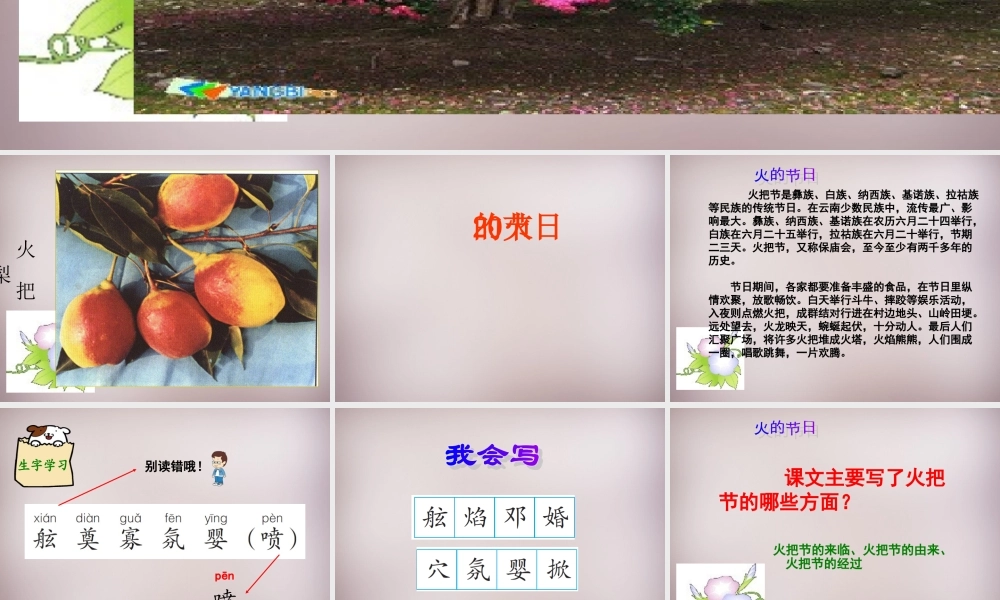 六年级语文上册《火的节日》课件6 语文A版-语文A版小学六年级上册语文课件