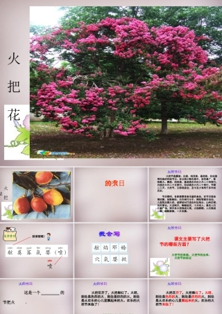 六年级语文上册《火的节日》课件6 语文A版-语文A版小学六年级上册语文课件