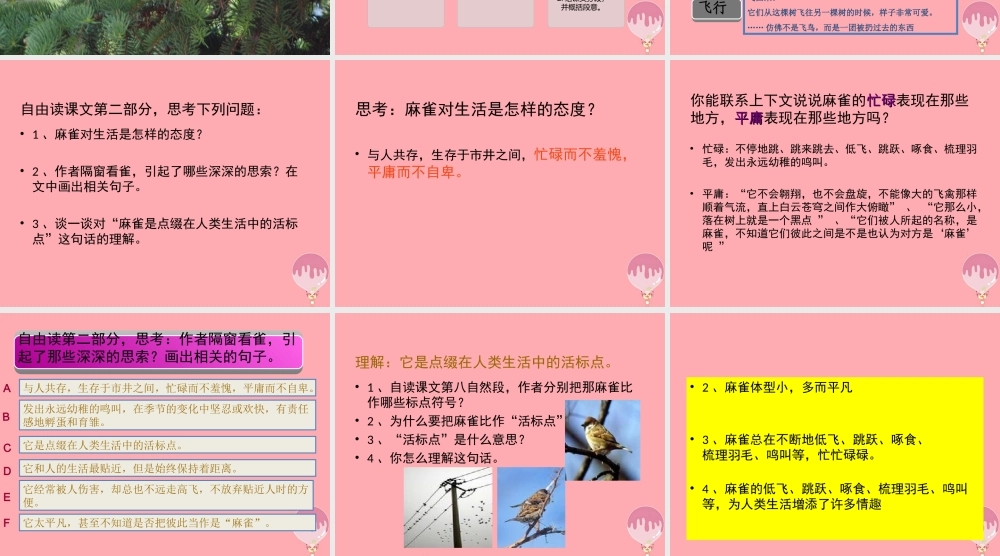 六年级语文上册 第四单元 隔窗看雀课件2 湘教版-湘教版小学六年级上册语文课件