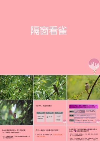 六年级语文上册 第四单元 隔窗看雀课件2 湘教版-湘教版小学六年级上册语文课件