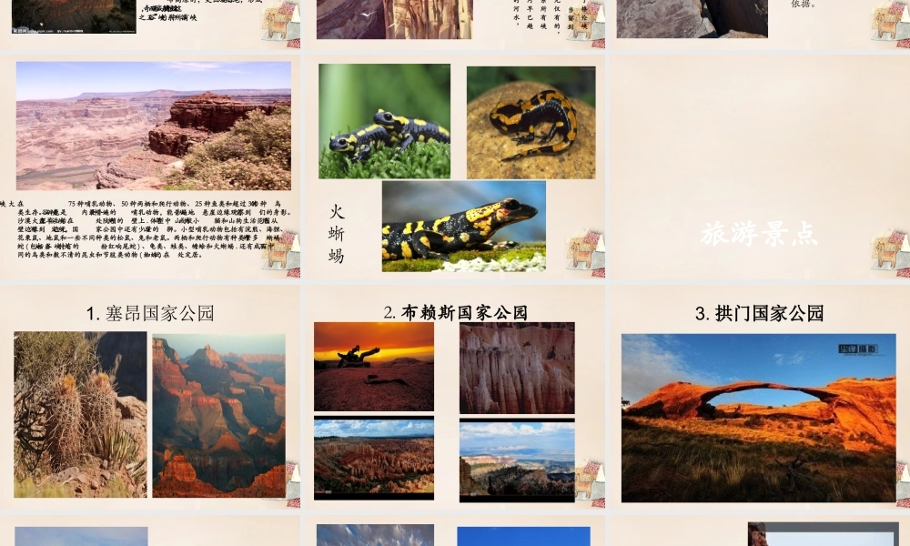 六年级语文上册《科罗拉多大峡谷》课件4 长春版-长春版小学六年级上册语文课件