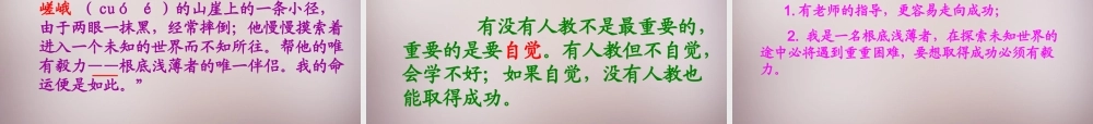 六年级语文上册《昆虫迷》课件1 语文A版-语文A版小学六年级上册语文课件