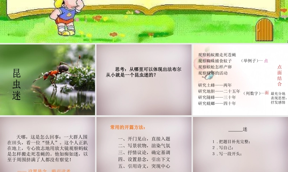 六年级语文上册《昆虫迷》课件2 语文A版-语文A版小学六年级上册语文课件